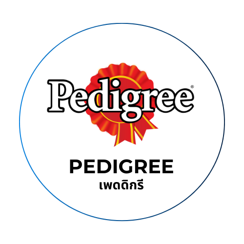 Pedigree (เพดดิกรี)