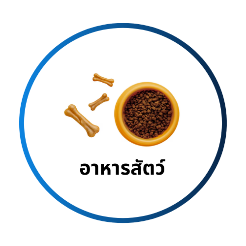 อาหารสัตว์